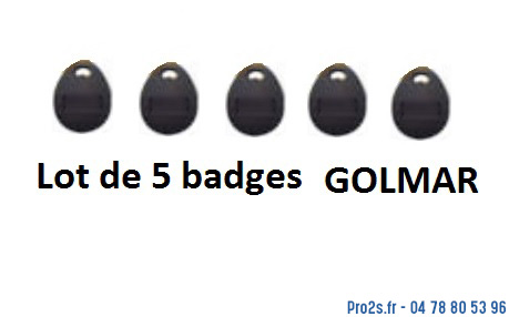 telecommande golmar badges gtagset x5 face