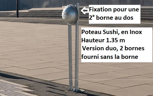 telecommande wattpark poteau sushi duo face