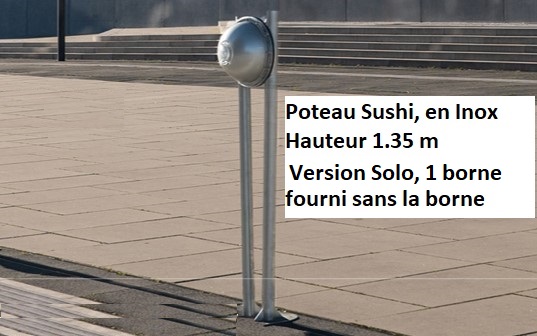 telecommande wattpark poteau sushi solo face